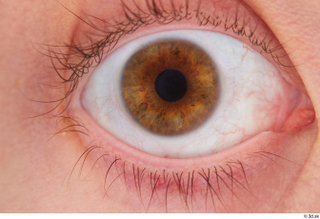 HD Eyes Babbie eye eyebrow eyelash iris pupil skin texture…